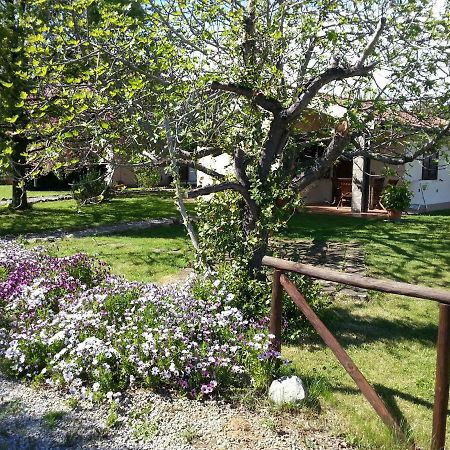 Agriturismo Sicomoro Villa Capalbio Exterior photo
