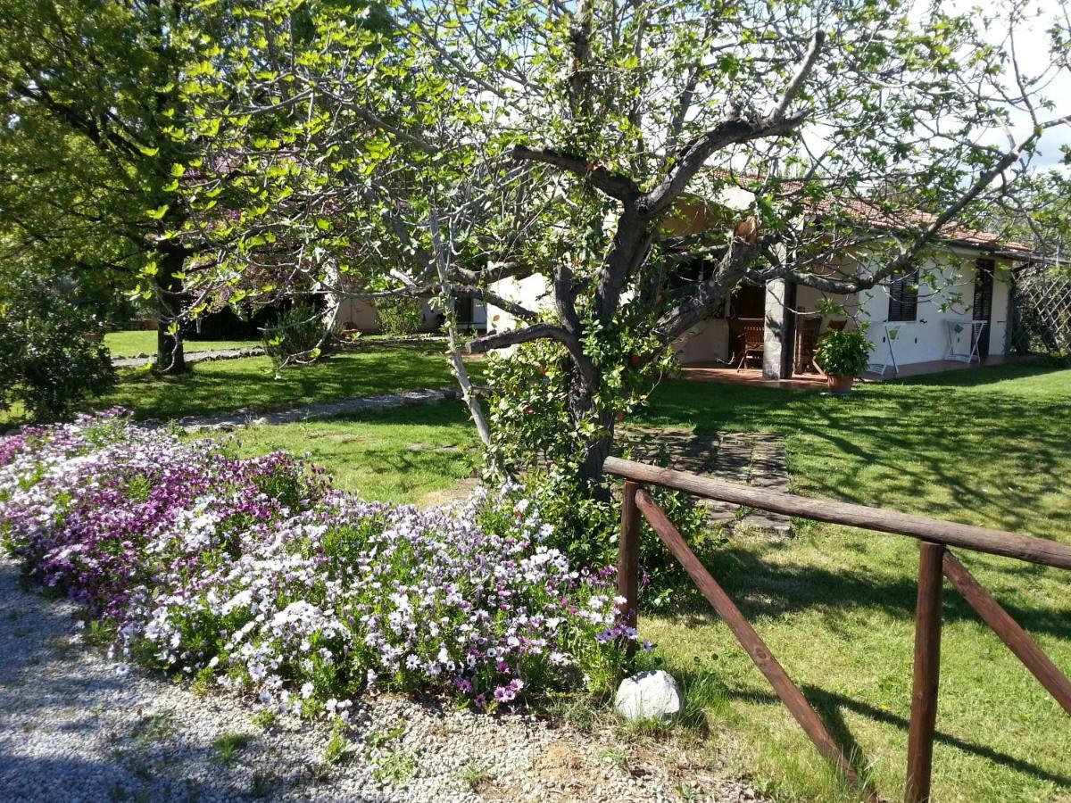 Agriturismo Sicomoro Villa Capalbio Exterior photo