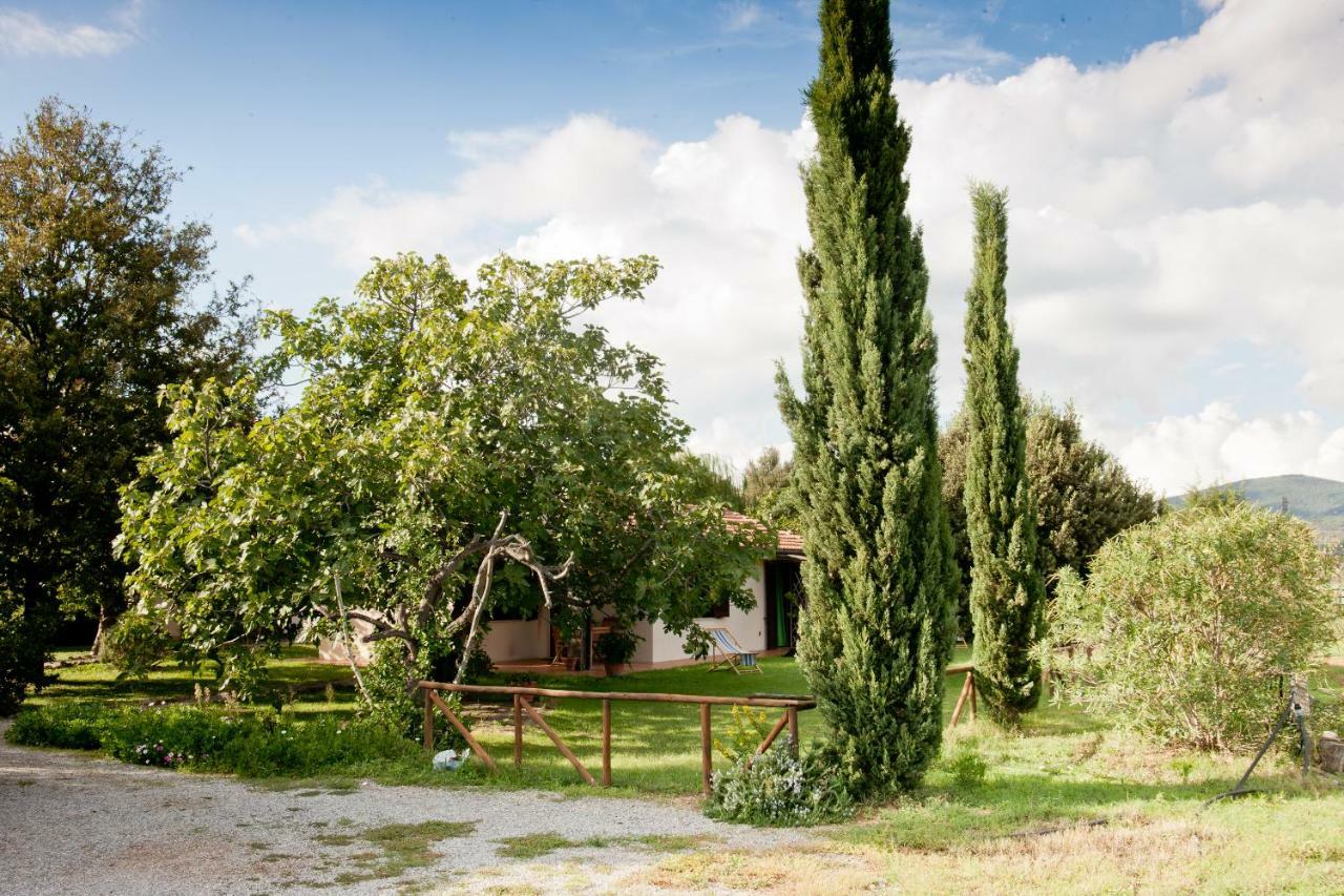 Agriturismo Sicomoro Villa Capalbio Exterior photo